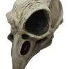 Maske Rabenskelett