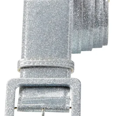 Silberner Disco Gürtel Für Erwachsene