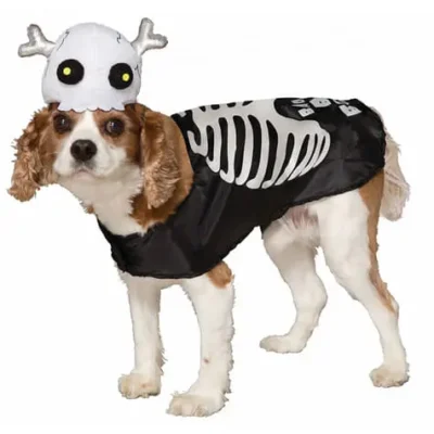 Skelett Kostüm Für Hunde